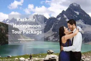 Kashmir Honeymoon Package