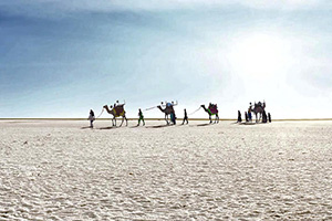 Kutch of Rann Utsav Tour Package & Tariff