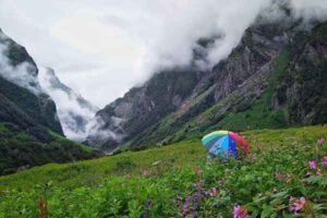 Valley of Flowers Trek Package from Delhi - 6 Night/7 Days