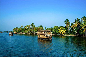 06 Nights / 07 Days Cochin Munnar Thekkady Kumarakom Alleppey Tour Package