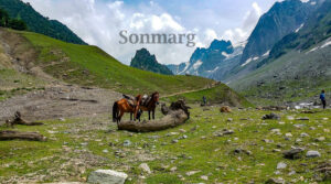 Best Time To Visit Sonmarg