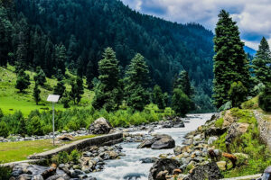 Best Time To Visit Pahalgam