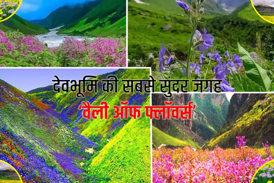 उत्तराखंड का मशहूर 'वैली ऑफ फ्लावर' कब और कैसे जाएं?